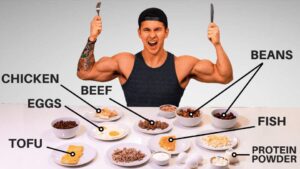 Discovering the Best Proteins for Muscle Growth